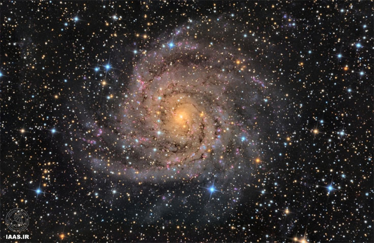 کهکشان پنهان IC 342