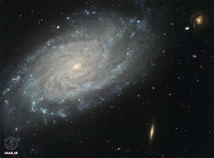NGC 3370 » نمایی واضحتر