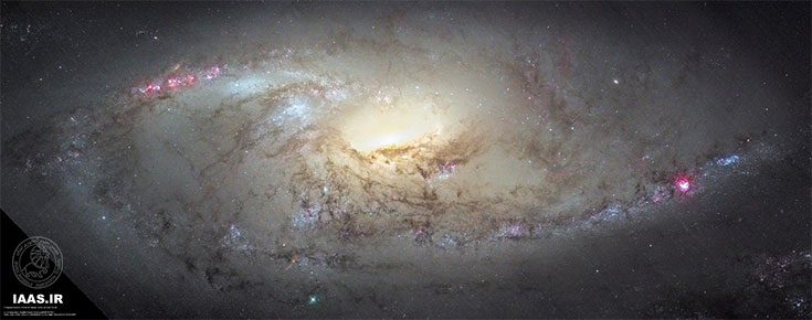 نمایی نزدیک از M106