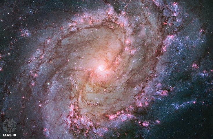 کهکشان مارپیچی M83 » چرخ‌دنده جنوبی