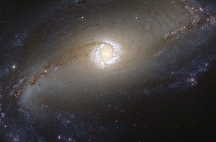 شکل گیری یک ستاره در نزدیکی یک سیاه چاله