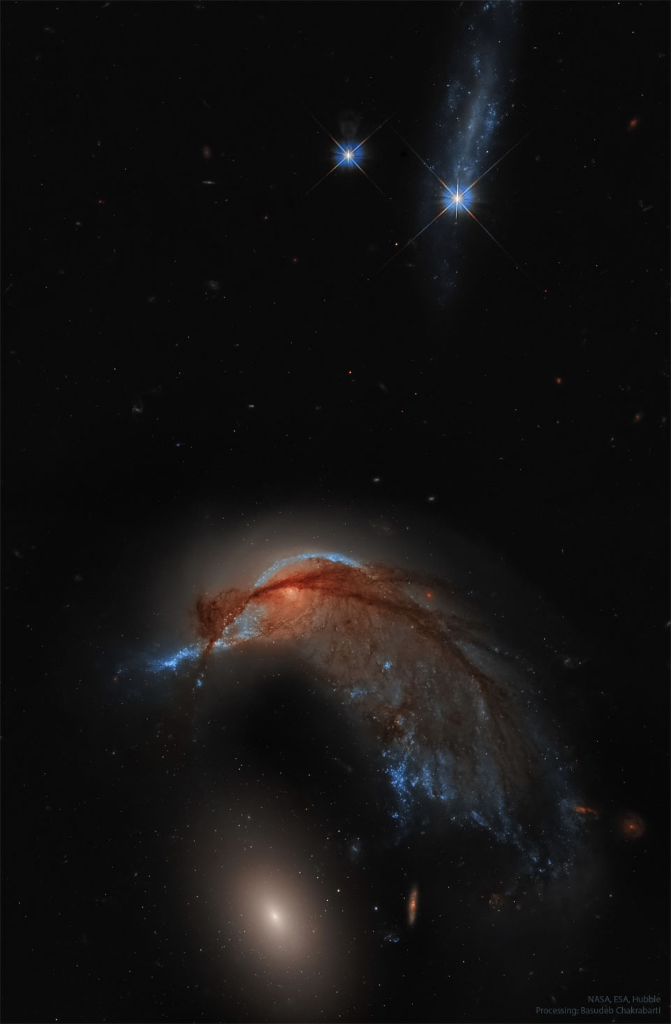 Arp 142: کهکشان مرغ مگس خوار