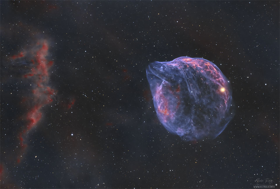 Sh2-308: حباب ستاره ای به شکل دلفین