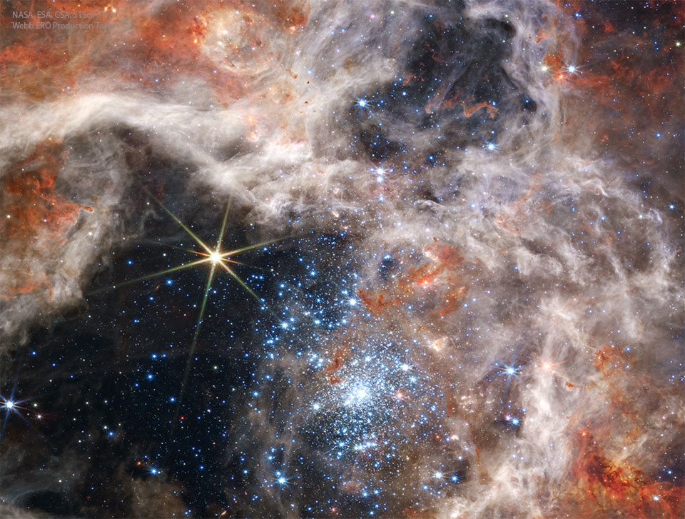 ستاره های رتیل r136 از وب