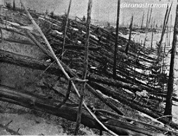 بقایای درختان نابود شده بر اثر انفجار تانگوسکا در سیبری؛ امتیاز تصویر: the Leonid Kulik Expedition