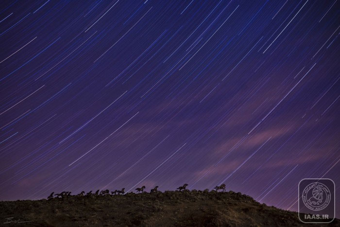عکاسی از آسمان شب - عکاس: بن کانالز