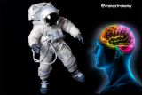 تأثیر زندگی طولانی در فضا بر روی ساختار مغز!
