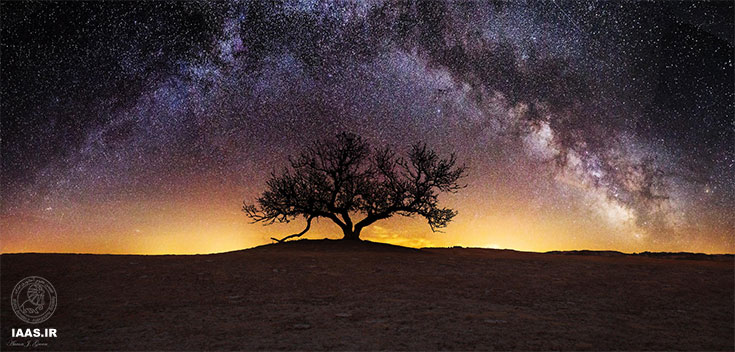 نمایی پانورامایی از کهکشان راه شیری بر فراز درخت معرفت